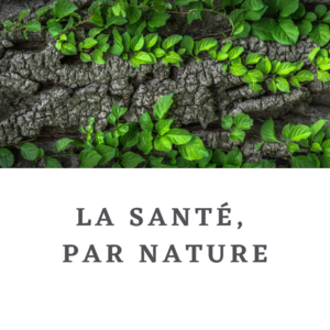 Aude Effantin - La Santé, par Nature Chantemerle-les-Blés, , Iridologie 