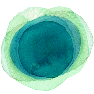 patricia Roesch Chelun, , Iridologie , Morphologie , Nutrition et diététique  , Gemmothérapie, Phytothérapie, Techniques respiratoires, Massages relaxants , Réflexologie plantaire, Reflexologie palmaire, Stages, animations, conférences, Naturopathie