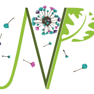 Julie VAN PAEPEGHEM Douai, , Iridologie , Nutrition et diététique  , Massages relaxants , Naturopathie
