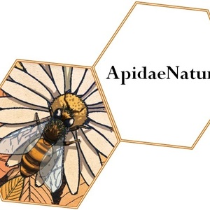 Noémie Chauvidan  ApidaeNaturo Decize, , Nutrition et diététique  , Gemmothérapie, Exercices respiratoires , Bains dérivatifs, Massages relaxants , Réflexologie plantaire, Naturopathie