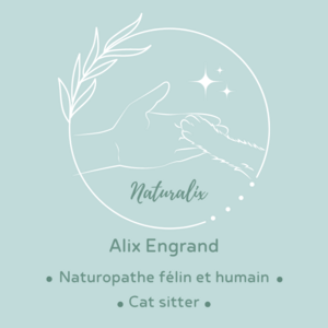 Naturalix, Alix Engrand Naturopathe Coudekerque-Branche, , Naturopathie