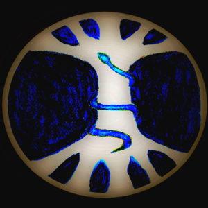 NaturoKos Paris 5, , Hygiène alimentaire et nutrition, Gemmothérapie, Fleurs de Bach, Naturopathie