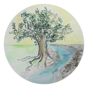 Nina Martin Bordeaux, , Réflexologie plantaire