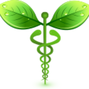 Elodie MATTELIN Rumilly, , Hygiène alimentaire et nutrition, Aromathérapie - Olfactothérapie, Gemmothérapie, Phytothérapie, Massages relaxants , Fleurs de Bach, Méthodes Naet/BBA/Total Reset , Naturopathie