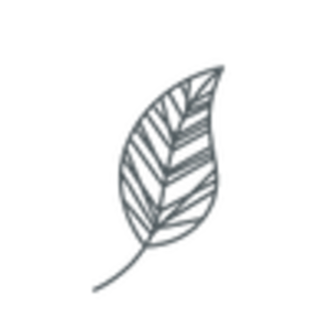 Aurélie HUGEL / Ah Naturopathe Roquevaire, , Kinésiologie 