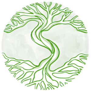 Simon Dumas Reyrieux, , Iridologie , Morphologie , Biologie nutritionnelle, Hygiène alimentaire et nutrition, Cures de restriction, diète, mono diète et jeûne , Micronutrition, Aromathérapie - Olfactothérapie, Gemmothérapie, Phytothérapie, Exercices respiratoires , Techniques respiratoires, Sudation , Revitalisation par les différentes cures d’eau , Bains dérivatifs, Massages relaxants , Massage lymphatique drainant modelant, Réflexologie auriculaire, Applications diverses des champs magnétiques , Rééquilibrage énergétique manuel, Yoga/méditation/relaxologie , Formation et enseignement, Stages, animations, conférences, Posturologie , Naturopathie