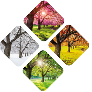 Murielle FLACELIERE / Naturopathie 4 saisons Antully, , Phytothérapie, Exercices respiratoires , Massages relaxants , Applications diverses des champs magnétiques , Naturopathie