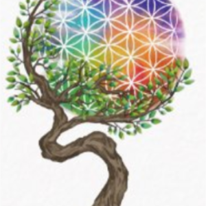 Nadia Walch Crest, , Aromathérapie - Olfactothérapie, Bol d’air, Massage lymphatique drainant modelant, Fleurs de Bach, Gemmothérapie, Iridologie , Massages relaxants , Micronutrition, Naturopathie, Hygiène alimentaire et nutrition, Phytothérapie, Réflexologie plantaire, Techniques respiratoires