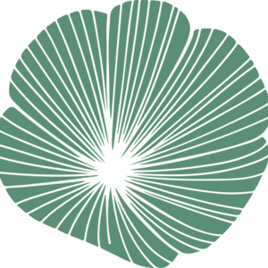 Capucine Perrin Toulouse, , Réflexologie plantaire