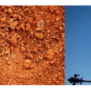 Gaelle Picorella Naturopathe Antibes, , Réflexologie plantaire